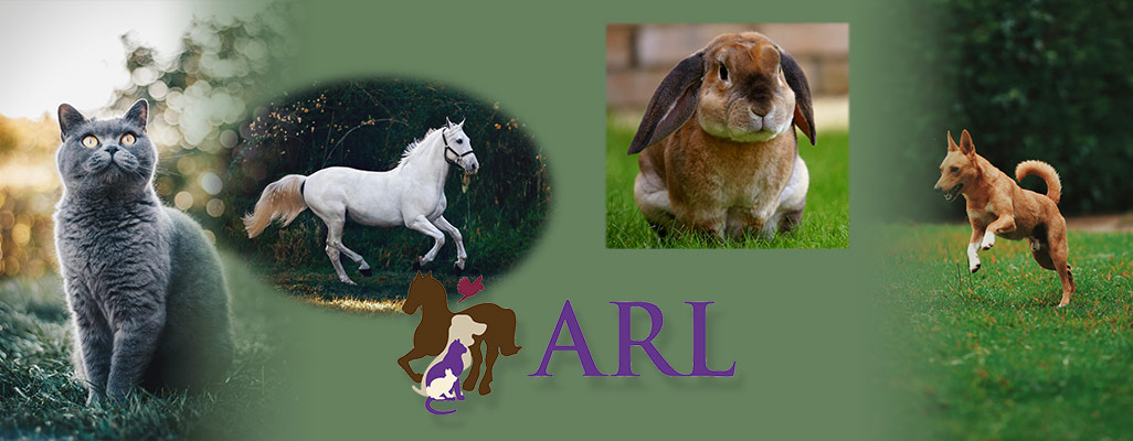 Animal Rescue League banner